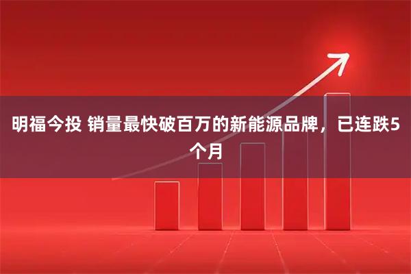 明福今投 销量最快破百万的新能源品牌，已连跌5个月